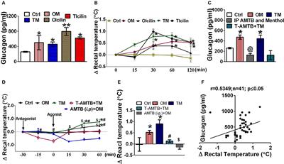 Involvement of Glucagon in Preventive Effect of Menthol Against High Fat Diet Induced Obesity in Mice